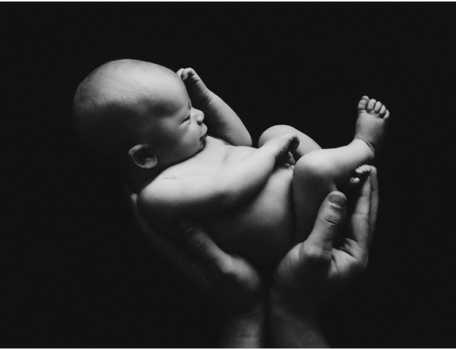 Harvey | Christchurch Newborn Photographer