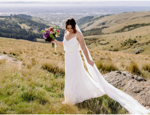 The Vines Club Wedding | Cate & Matt