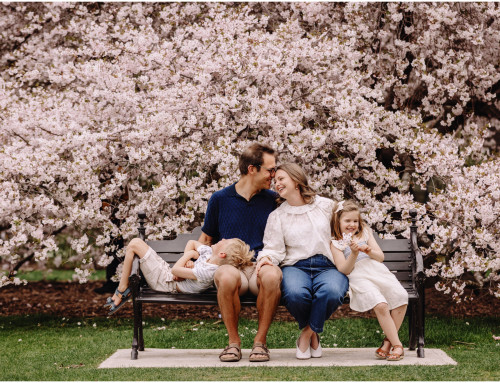 Christchurch Family Portrait Photographer | Klingenberg Family